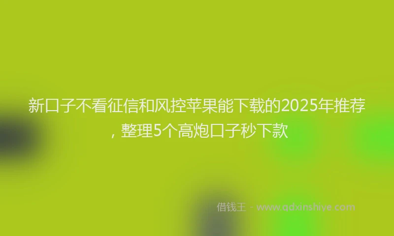 新口子不看征信和风控苹果能下载的2025年推荐，整理5个高炮口子秒下款