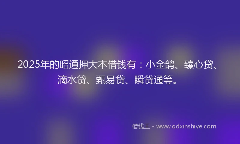 2025年的昭通押大本借钱有：小金鸽、臻心贷、滴水贷、甄易贷、瞬贷通等。