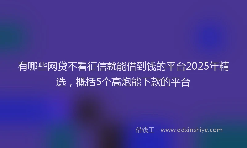 有哪些网贷不看征信就能借到钱的平台2025年精选，概括5个高炮能下款的平台
