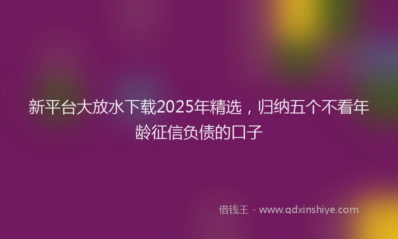 新平台大放水下载2025年精选，归纳五个不看年龄征信负债的口子