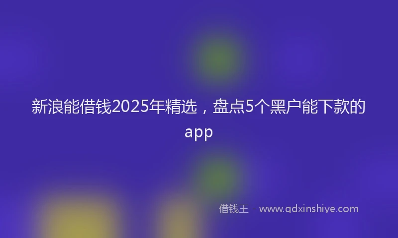 新浪能借钱2025年精选，盘点5个黑户能下款的app