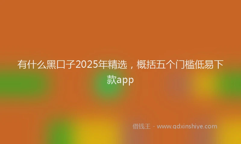 有什么黑口子2025年精选，概括五个门槛低易下款app