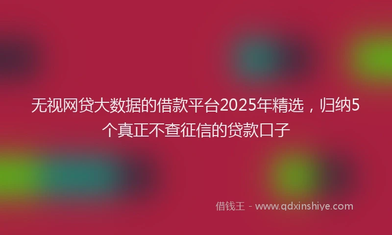 无视网贷大数据的借款平台2025年精选，归纳5个真正不查征信的贷款口子
