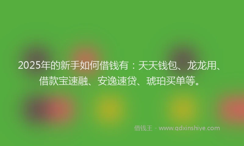 2025年的新手如何借钱有：天天钱包、龙龙用、借款宝速融、安逸速贷、琥珀买单等。