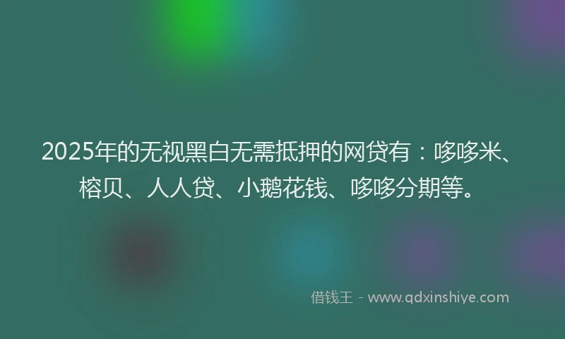 2025年的无视黑白无需抵押的网贷有：哆哆米、榕贝、人人贷、小鹅花钱、哆哆分期等。