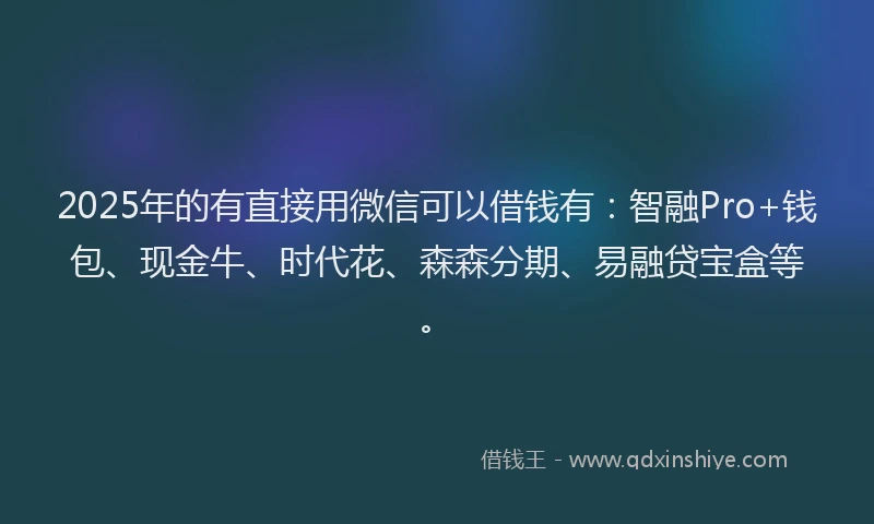 2025年的有直接用微信可以借钱有：智融Pro+钱包、现金牛、时代花、森森分期、易融贷宝盒等。