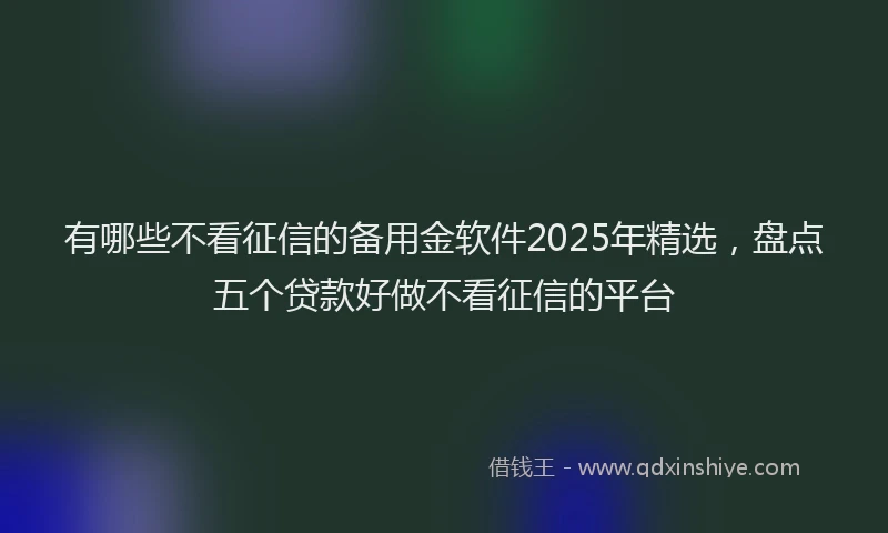 有哪些不看征信的备用金软件2025年精选，盘点五个贷款好做不看征信的平台