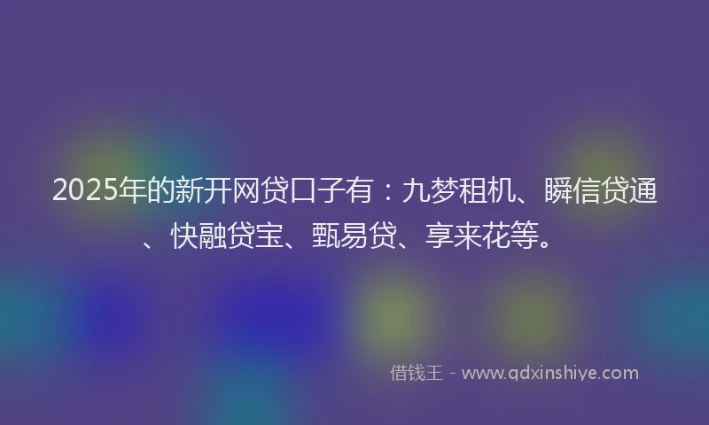 2025年的新开网贷口子有：九梦租机、瞬信贷通、快融贷宝、甄易贷、享来花等。