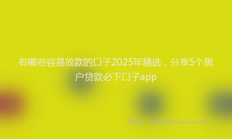有哪些容易放款的口子2025年精选，分享5个黑户贷款必下口子app