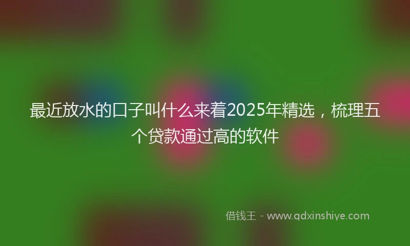 最近放水的口子叫什么来着2025年精选，梳理五个贷款通过高的软件
