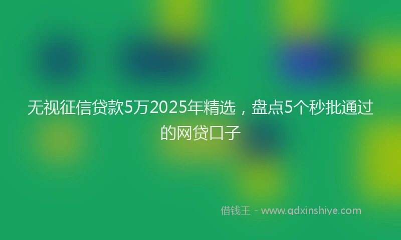 无视征信贷款5万2025年精选，盘点5个秒批通过的网贷口子