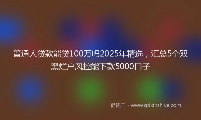 普通人贷款能贷100万吗2025年精选，汇总5个双黑烂户风控能下款5000口子