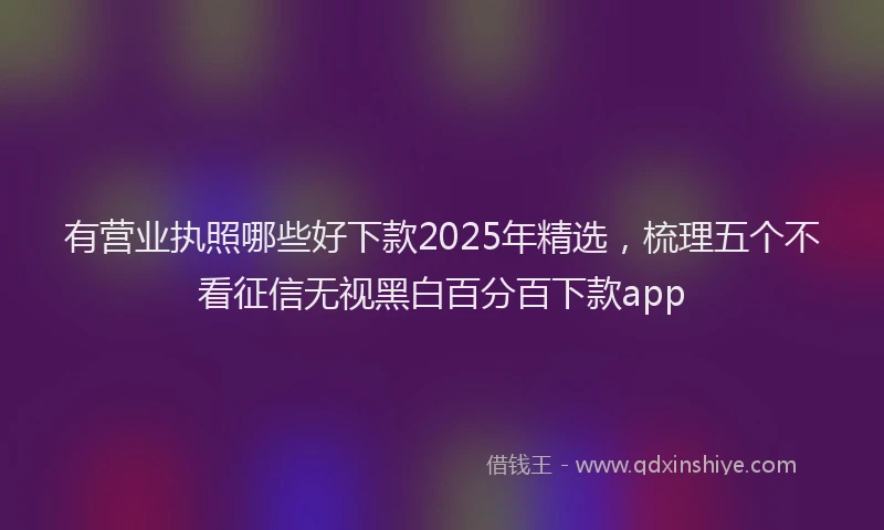 有营业执照哪些好下款2025年精选，梳理五个不看征信无视黑白百分百下款app