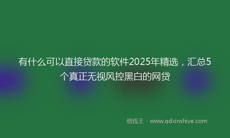 有什么可以直接贷款的软件2025年精选，汇总5个真正无视风控黑白的网贷