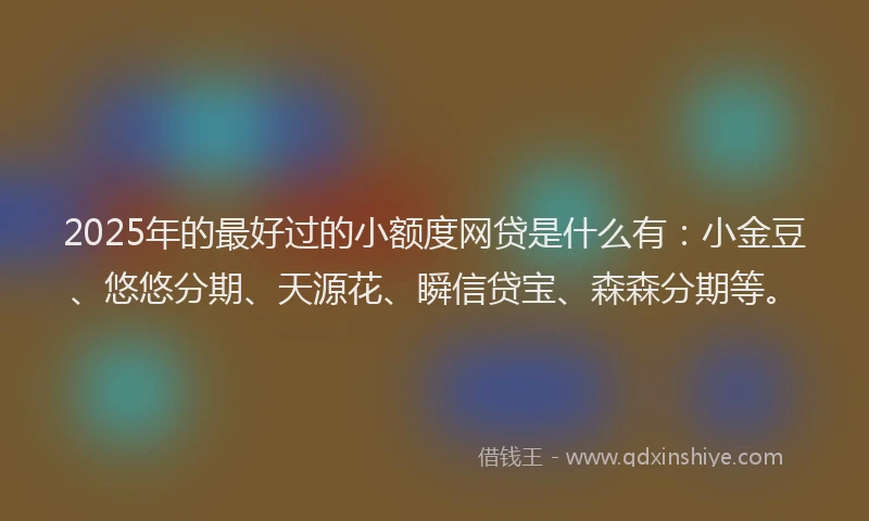 2025年的最好过的小额度网贷是什么有：小金豆、悠悠分期、天源花、瞬信贷宝、森森分期等。