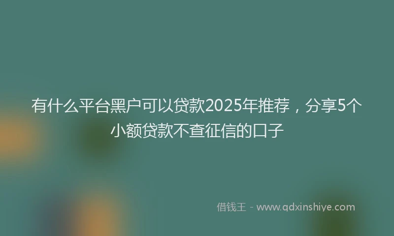有什么平台黑户可以贷款2025年推荐，分享5个小额贷款不查征信的口子