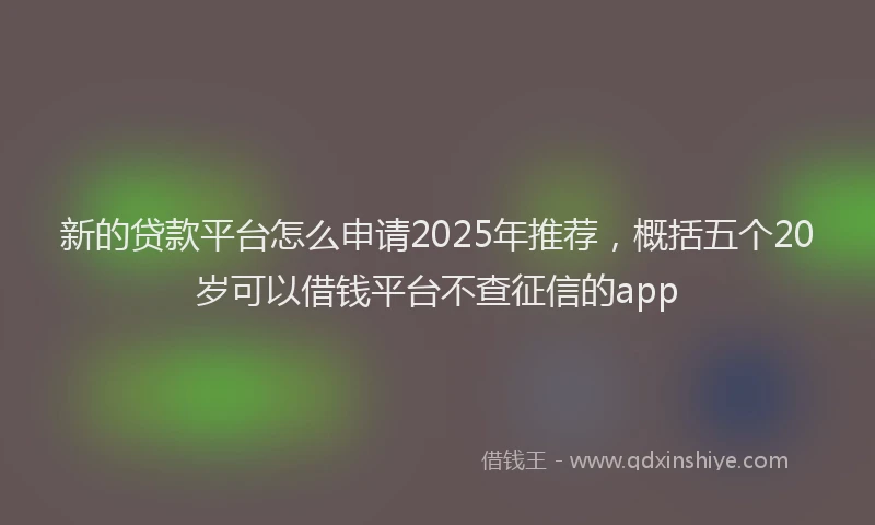 新的贷款平台怎么申请2025年推荐，概括五个20岁可以借钱平台不查征信的app