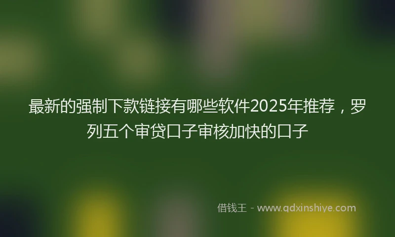 最新的强制下款链接有哪些软件2025年推荐，罗列五个审贷口子审核加快的口子