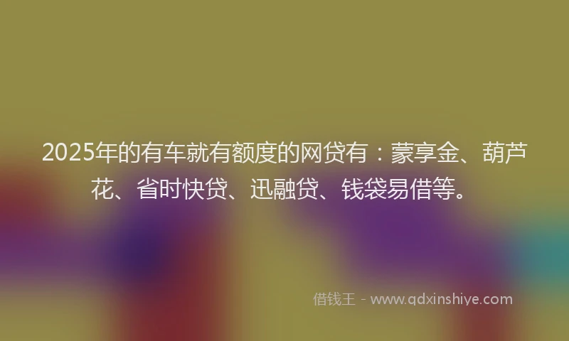 2025年的有车就有额度的网贷有：蒙享金、葫芦花、省时快贷、迅融贷、钱袋易借等。