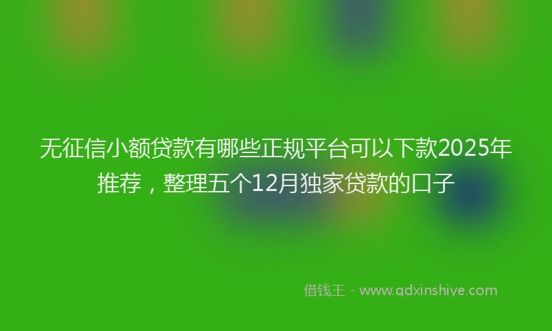 无征信小额贷款有哪些正规平台可以下款2025年推荐，整理五个12月独家贷款的口子