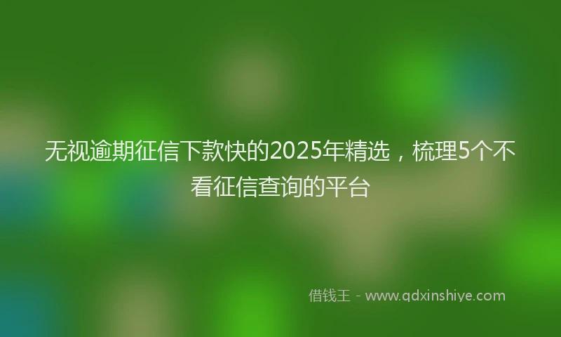 无视逾期征信下款快的2025年精选，梳理5个不看征信查询的平台