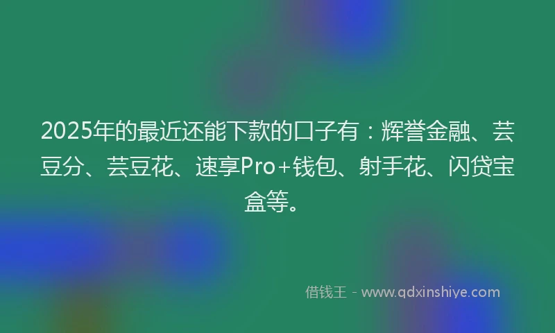 2025年的最近还能下款的口子有：辉誉金融、芸豆分、芸豆花、速享Pro+钱包、射手花、闪贷宝盒等。