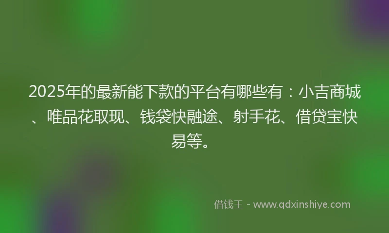 2025年的最新能下款的平台有哪些有：小吉商城、唯品花取现、钱袋快融途、射手花、借贷宝快易等。