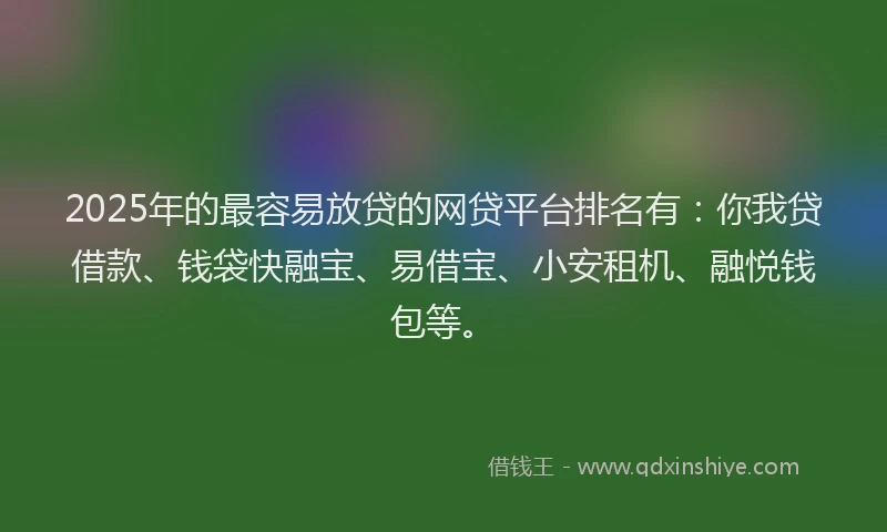 2025年的最容易放贷的网贷平台排名有：你我贷借款、钱袋快融宝、易借宝、小安租机、融悦钱包等。