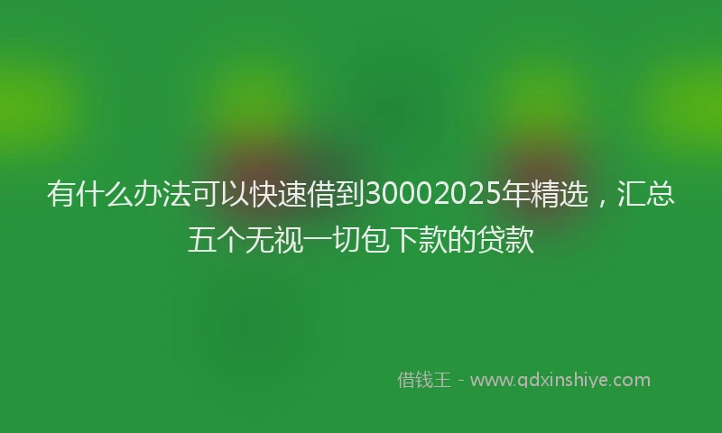 有什么办法可以快速借到30002025年精选，汇总五个无视一切包下款的贷款