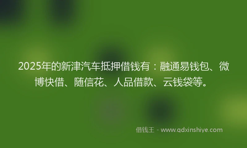 2025年的新津汽车抵押借钱有：融通易钱包、微博快借、随信花、人品借款、云钱袋等。