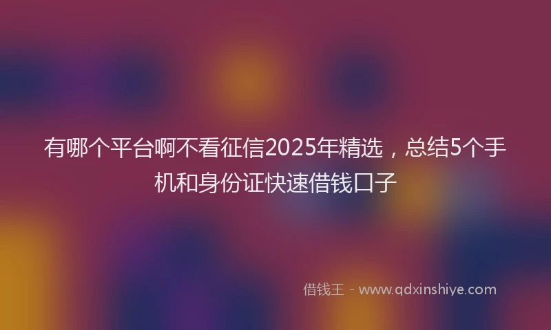 有哪个平台啊不看征信2025年精选，总结5个手机和身份证快速借钱口子