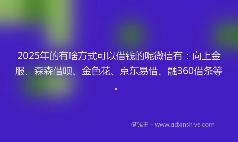 2025年的有啥方式可以借钱的呢微信有：向上金服、森森借呗、金色花、京东易借、融360借条等。