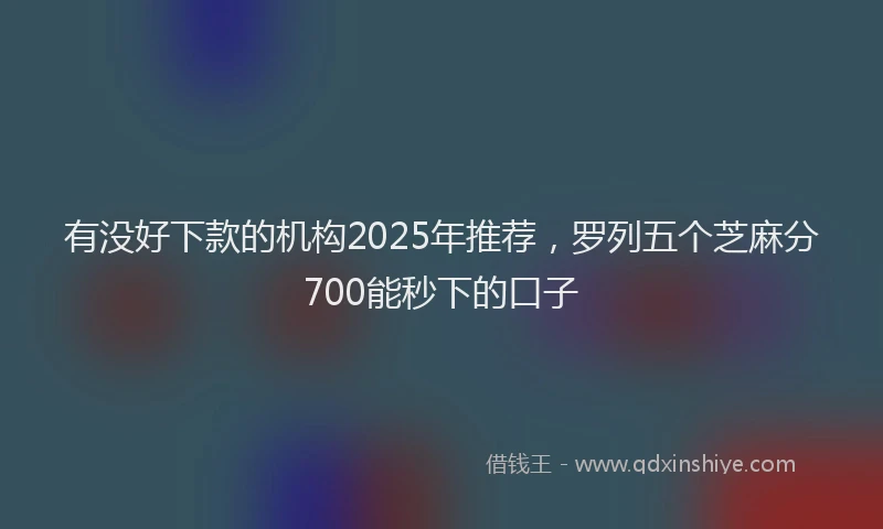 有没好下款的机构2025年推荐，罗列五个芝麻分700能秒下的口子