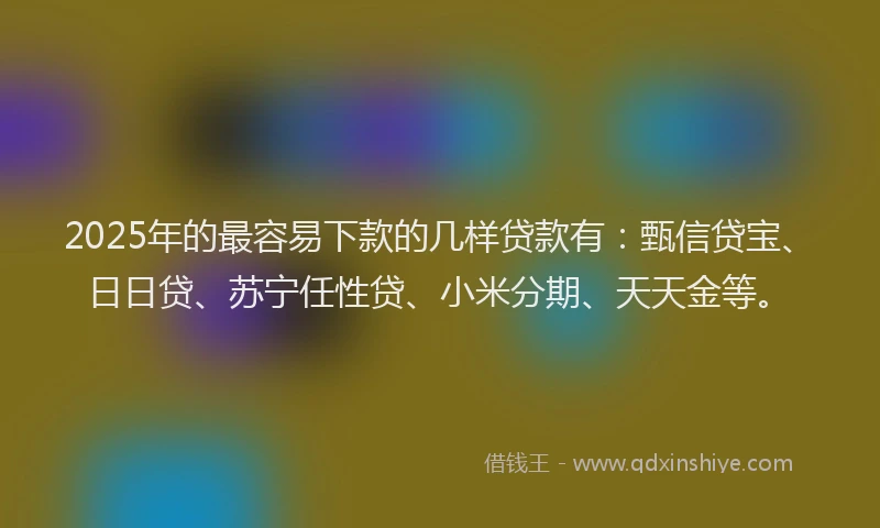 2025年的最容易下款的几样贷款有：甄信贷宝、日日贷、苏宁任性贷、小米分期、天天金等。