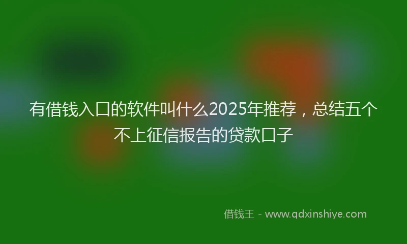 有借钱入口的软件叫什么2025年推荐，总结五个不上征信报告的贷款口子