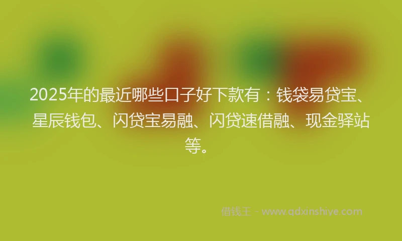 2025年的最近哪些口子好下款有：钱袋易贷宝、星辰钱包、闪贷宝易融、闪贷速借融、现金驿站等。