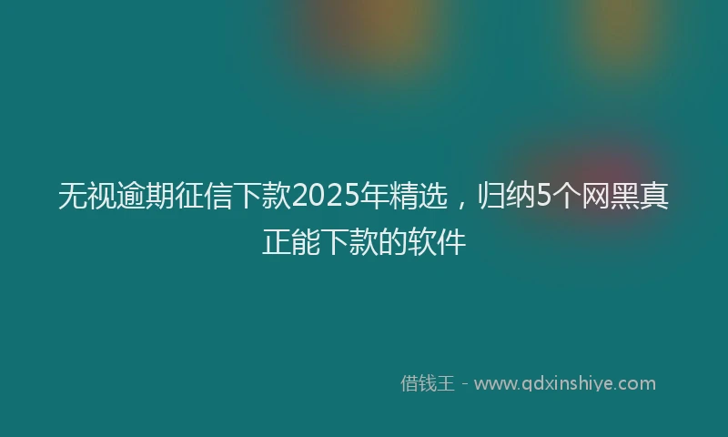 无视逾期征信下款2025年精选，归纳5个网黑真正能下款的软件
