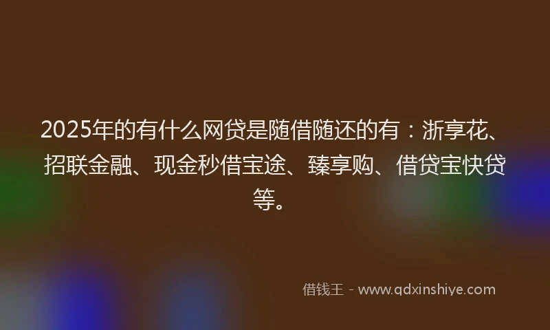 2025年的有什么网贷是随借随还的有：浙享花、招联金融、现金秒借宝途、臻享购、借贷宝快贷等。