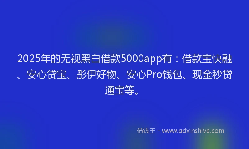 2025年的无视黑白借款5000app有：借款宝快融、安心贷宝、彤伊好物、安心Pro钱包、现金秒贷通宝等。