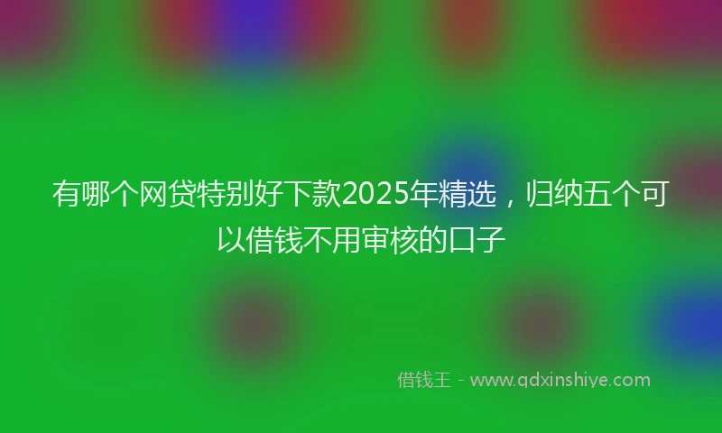 有哪个网贷特别好下款2025年精选，归纳五个可以借钱不用审核的口子