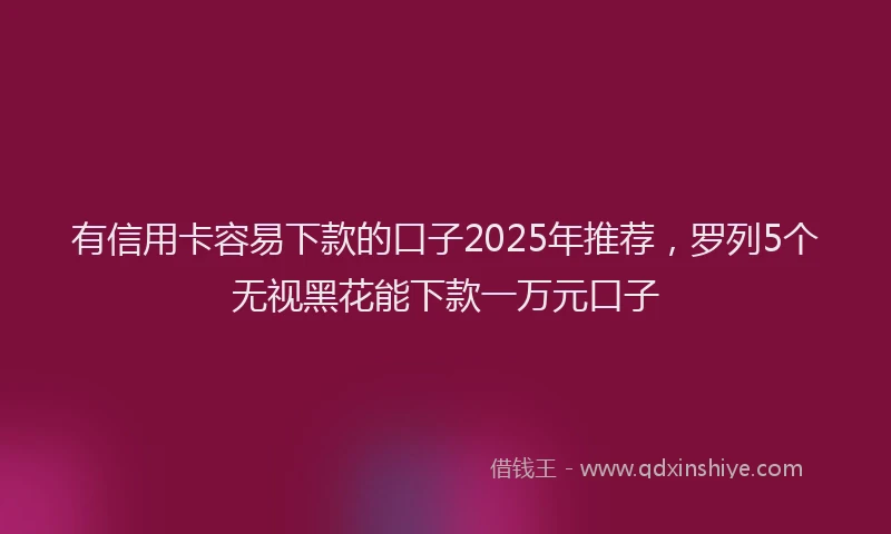 有信用卡容易下款的口子2025年推荐，罗列5个无视黑花能下款一万元口子