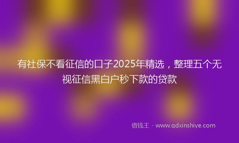 有社保不看征信的口子2025年精选，整理五个无视征信黑白户秒下款的贷款
