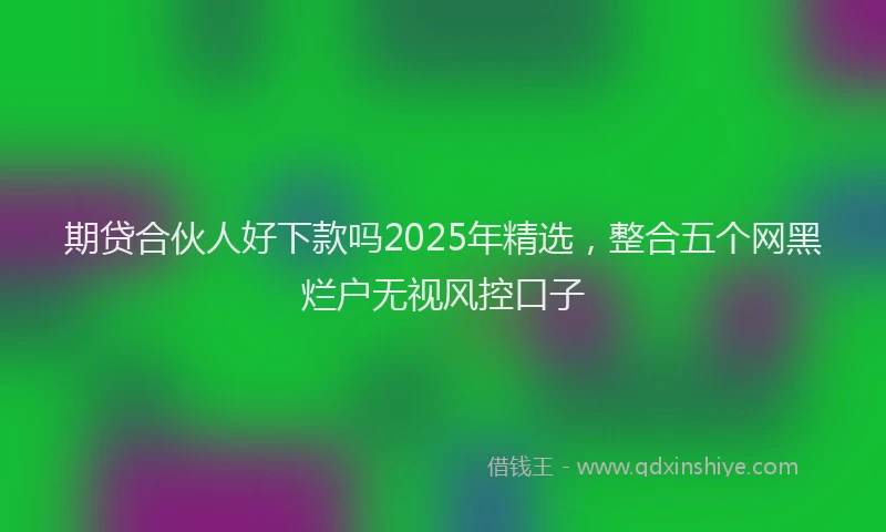期贷合伙人好下款吗2025年精选，整合五个网黑烂户无视风控口子