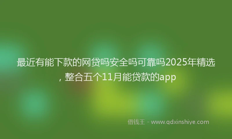 最近有能下款的网贷吗安全吗可靠吗2025年精选，整合五个11月能贷款的app