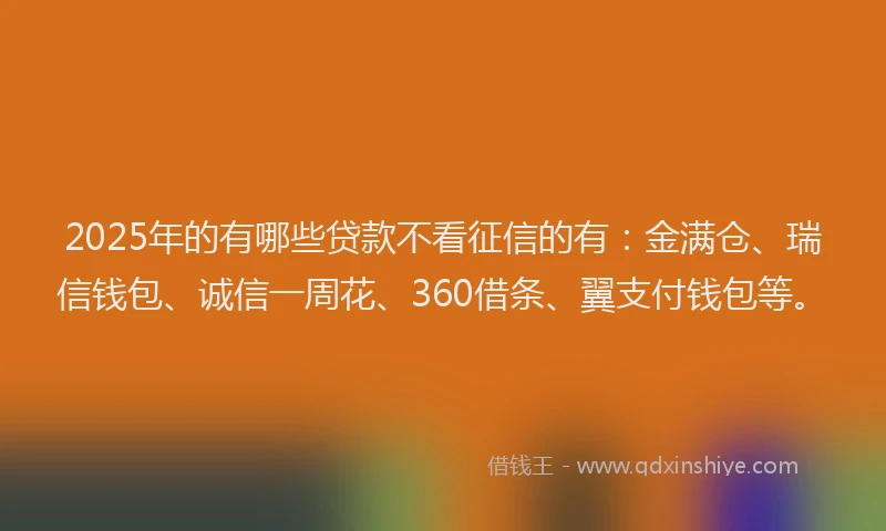 2025年的有哪些贷款不看征信的有：金满仓、瑞信钱包、诚信一周花、360借条、翼支付钱包等。