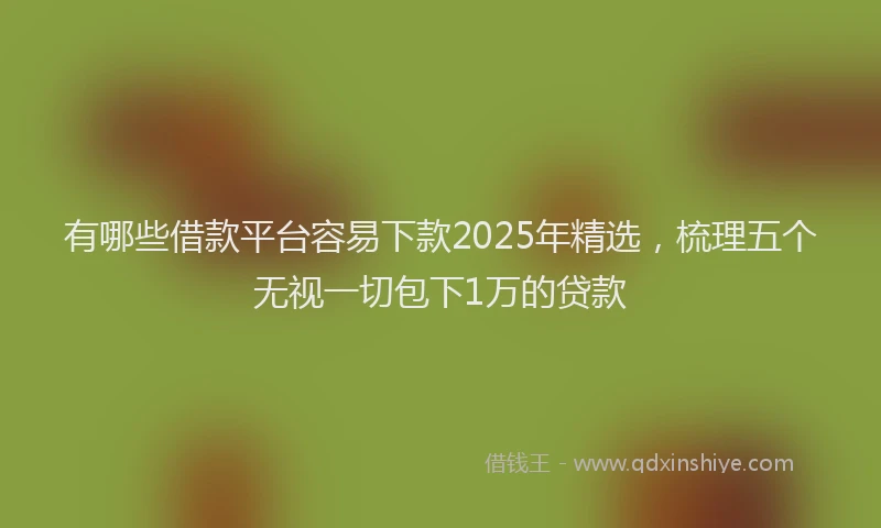 有哪些借款平台容易下款2025年精选，梳理五个无视一切包下1万的贷款