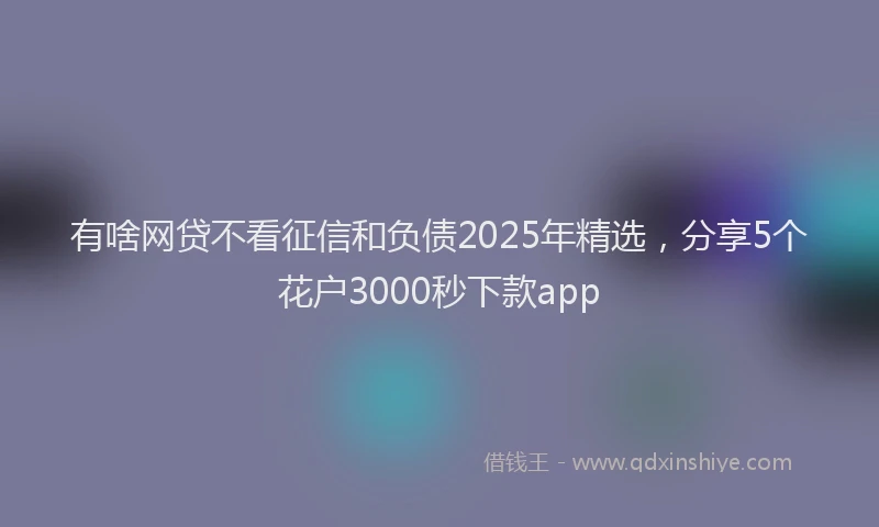 有啥网贷不看征信和负债2025年精选，分享5个花户3000秒下款app