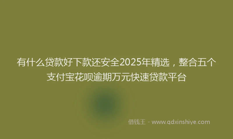 有什么贷款好下款还安全2025年精选，整合五个支付宝花呗逾期万元快速贷款平台