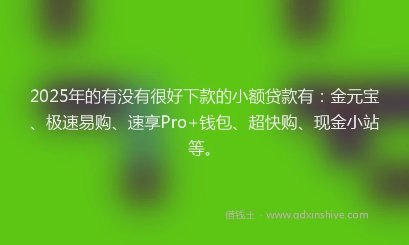 2025年的有没有很好下款的小额贷款有：金元宝、极速易购、速享Pro+钱包、超快购、现金小站等。