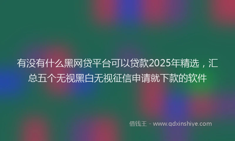 有没有什么黑网贷平台可以贷款2025年精选，汇总五个无视黑白无视征信申请就下款的软件
